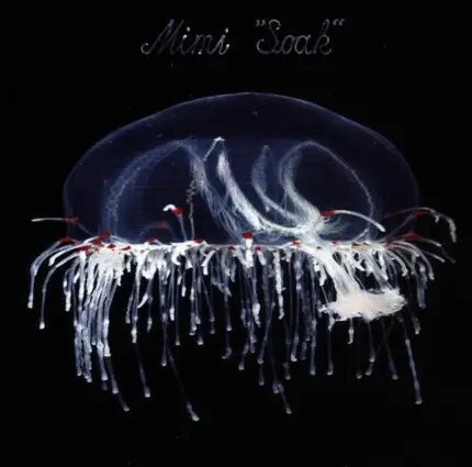 Mimi Goese - Soak