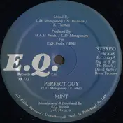 Mint - Perfect Guy
