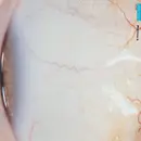 CD - Mínus - Halldór Laxness