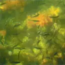 CD - Mind Over MIDI - Monopoly