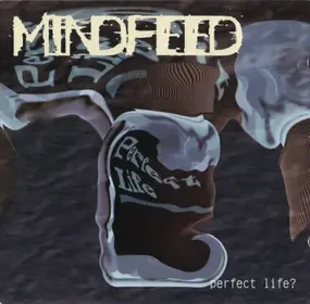 Mindfeed - Perfect Life?