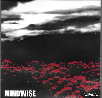 Mindwise - Wrong