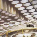 LP - Ming - Exterieur Remix