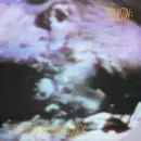 LP - Ministry - The Land Of Rape And Honey