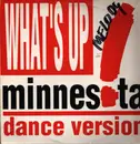 12inch Vinyl Single - Minnesota - What's Up?