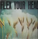 LP - Minor Threat, Untouchables, State Of Alert a.o. - Flex Your Head - Wheat field + poster