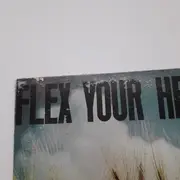 LP - Minor Threat, Untouchables, State Of Alert a.o. - Flex Your Head - Wheat field version, Poster