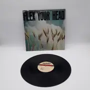 LP - Minor Threat, Untouchables, State Of Alert a.o. - Flex Your Head - Wheat field version, Poster