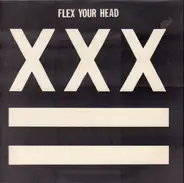Minor Threat, Untouchables, State Of Alert a.o. - Flex Your Head
