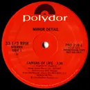 12'' - Minor Detail - Canvas Of Life - PROMO