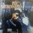Double LP - Mic Geronimo - The Natural