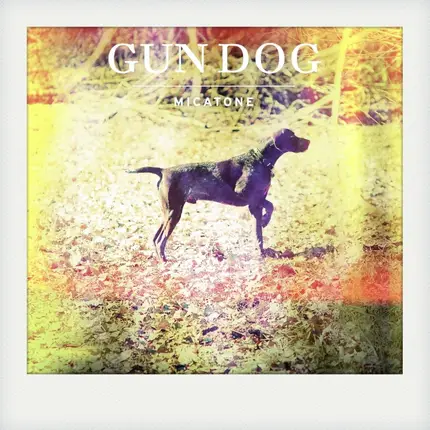 Micatone - Gun Dog (alex Barck Rmx)