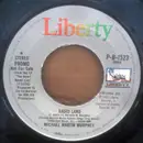 7inch Vinyl Single - Michael Martin Murphey - Radio Land