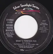 Michael Martin Murphey - What's Forever For / Don't Count The Rainy Days