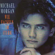 LP - Michael Morgan - Wie Fackeln Im Sturm