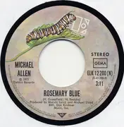 7inch Vinyl Single - Michael Allen - The Big Parade