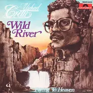 Michael Cretu - Wild River