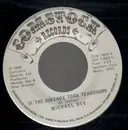 7inch Vinyl Single - Michael Dee - If the Jukebox took Teardrops