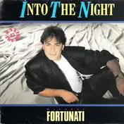 Michael Fortunati - Into The Night