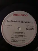 LP - Michael Haydn / Mozart - Salzburger Hofmusik 1