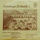 LP - Michael Haydn / Wolfgang Amadeus Mozart - Salzburger Hofmusik I