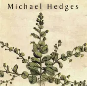 Michael Hedges - Taproot