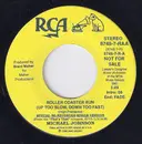 7inch Vinyl Single - Michael Johnson - Roller Coaster Run
