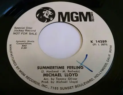 Michael Lloyd - Summertime Feeling