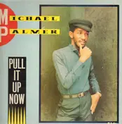 Michael Palmer - Pull It Up Now