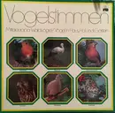 Double LP - Michael Schubert - Vogelstimmen - Mitteleuropa - Waldvögel / Vögel In Haus, Hof Und Garten - Gatefold
