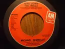 7inch Vinyl Single - Michael Sembello - Tear Down The Walls