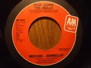 Michael Sembello - Tear Down The Walls