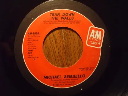 Michael Sembello - Tear Down The Walls