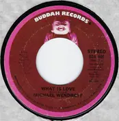 michael wendroff - What Is Love