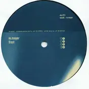 Michael Mayer - Frost