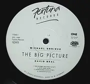 LP - Michael Shrieve / David Beal - The Big Picture