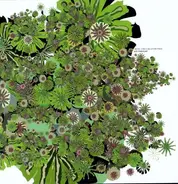 Michel Cleis & Salvatore Freda - Uva Fragolina