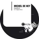 12inch Vinyl Single - Michel De Hey - Blackbird