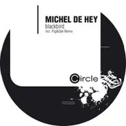 Michel De Hey - Blackbird