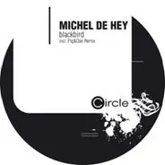 Michel De Hey - Blackbird