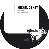 Michel de Hey - Blackbird