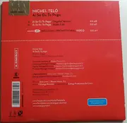 CD Single - Michel Teló - Ai Se Eu Te Pego! - Promo Cardboard