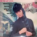 LP - Michele Lacerenza - Never My Love