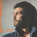 7inch Vinyl Single - Michele Zarrillo - Dammi Un Po' Di Più