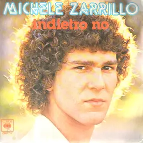 michele zarrillo - Indietro No