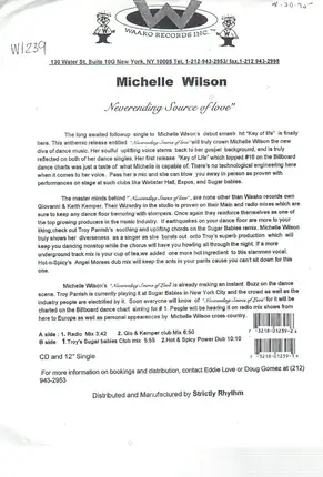 Michelle Wilson - Neverending Source of Love
