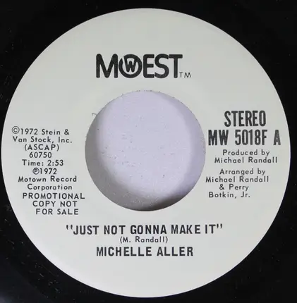 Michelle Aller - Just Not Gonna Make It
