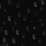 Mickey Pearce - Wam Barzz