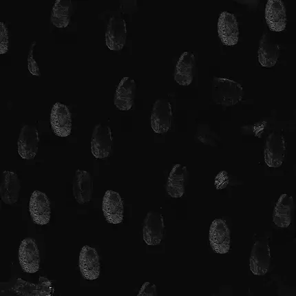 Mickey Pearce - Wam Barzz