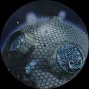 Picture LP - Microbots - I Didn't Know What To Expect - picture disc